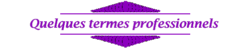 Quelques termes professionnels