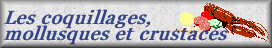 Les coquillages, mollusques et crustacés