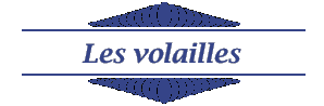 Les volailles